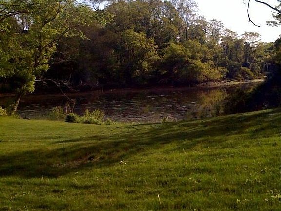 Backyard view of cove