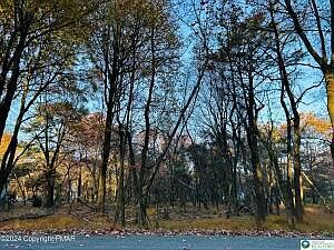 1st image of 1807 Penn Forest Trl