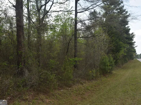 Old Phoenix Rd, Eatonton, GA 31024