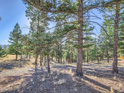 37 Amanda Circle LOT 1445314090960, Florissant, CO, 80816