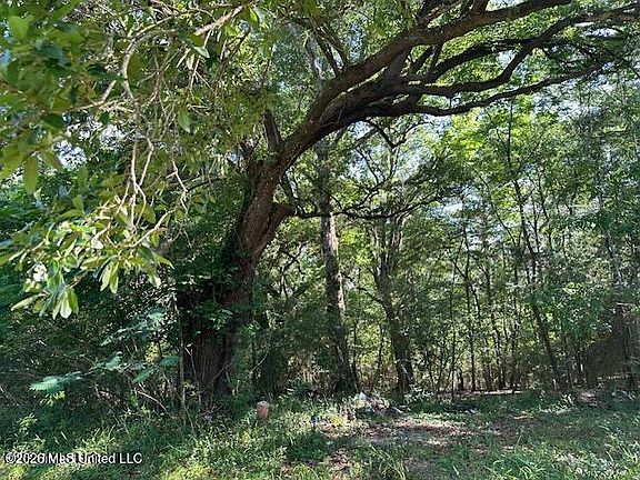 5th image of 203 Basin School Rd #B