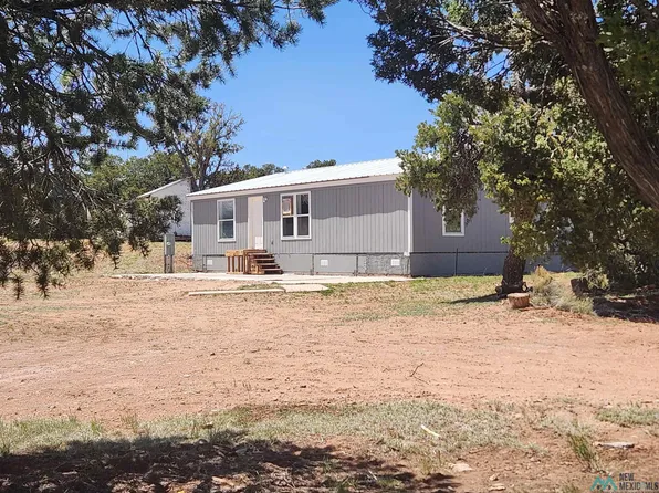 65 Longhorn Ln, Pie Town, NM 87827