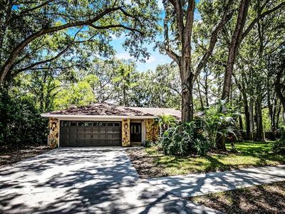 1811 La Grande Dr, Dunedin, FL, 34698