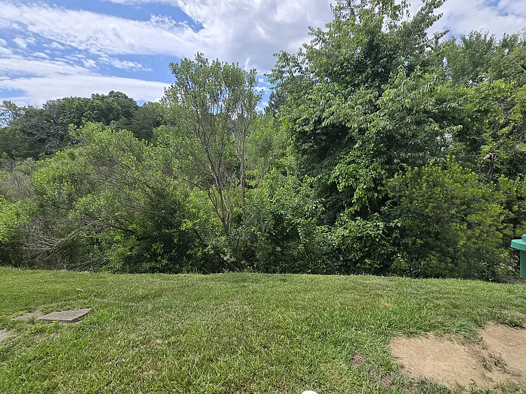 3902 Elizabeth Glen Way — Photo 18
