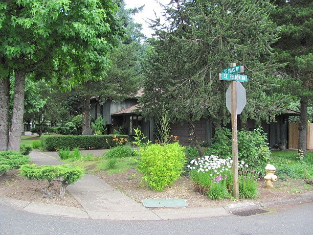 Front, Side Yard