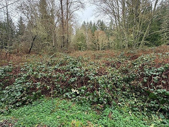 2nd image of 0 xxxx 238th Avenue NE