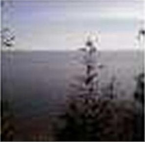 2nd image of 14474 State Highway 20