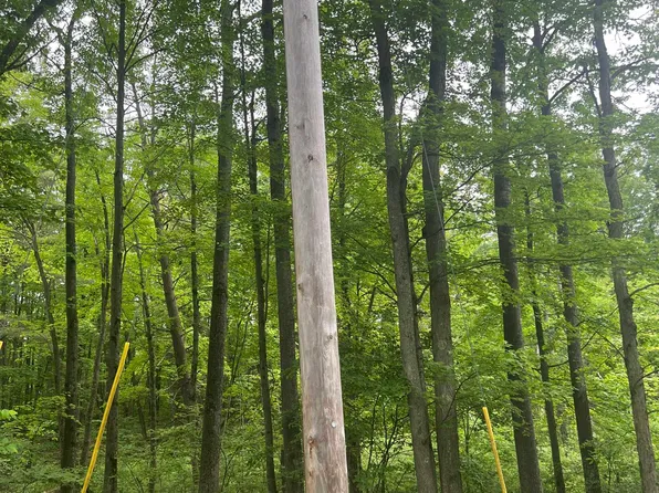 Vl W Lake George Dr, Harrison, MI 48625