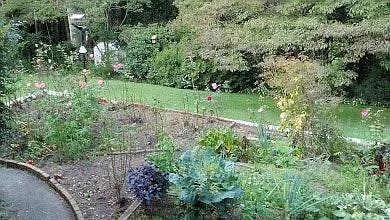 garden for flowers and veggies - yours to enjoy.