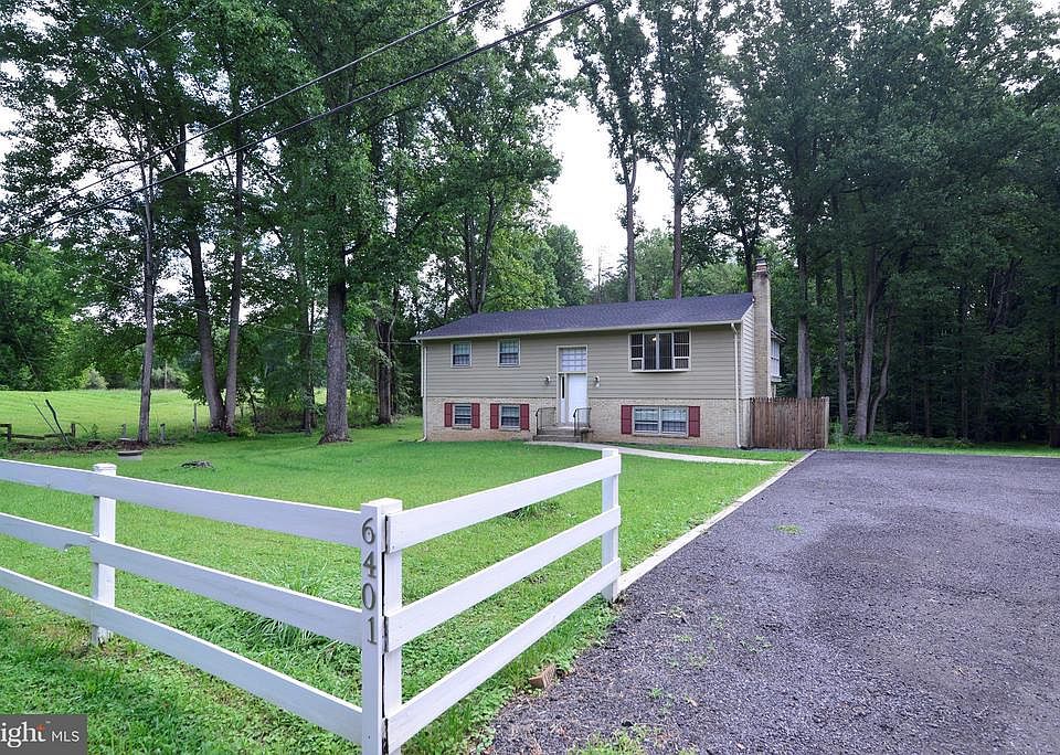 Front yard and driveway