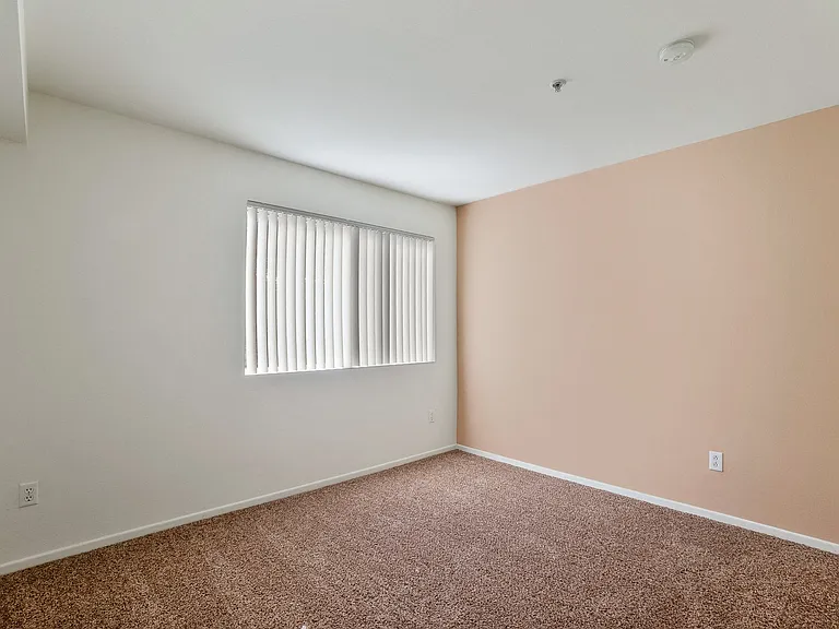 Sophia Ridge — Photo 15