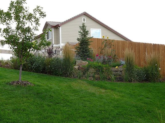 Professionally landscaped back yard