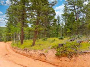64 Handcart Cir, Florissant, CO 80816
