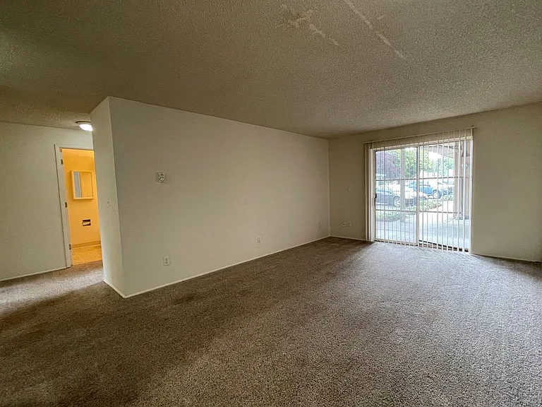 451w13 — Photo 7