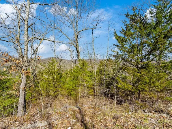 0.38 Acres Pokeberry Lane, Lampe, MO 65681