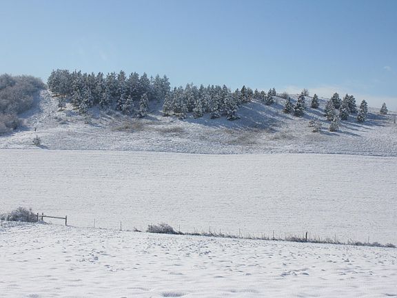 4th image of 1283 Kitzmiller Rd