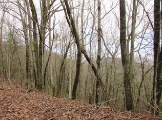 20 Firetower Rd, Jasper, GA 30143