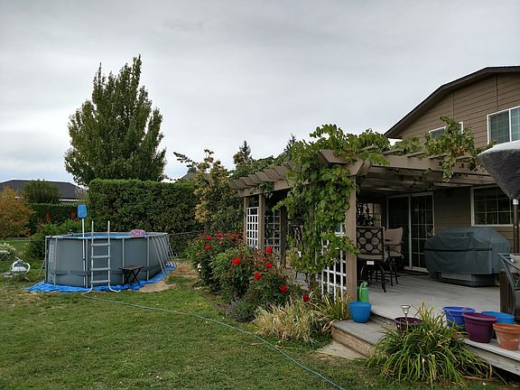 Back Yard/Abv-Gnd Pool