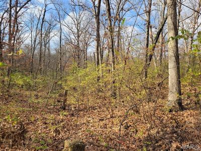0 Beach Cir, Moscow Mills, MO, 63362