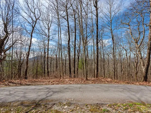 Lot 15 Eastside Duck Mountain Road, Scaly Mountain, NC 28775