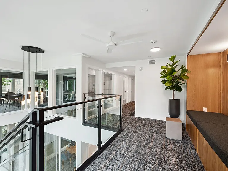 Plaid Apartments — Photo 17