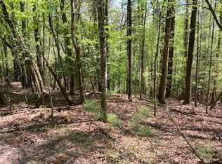LOT 3617 Fir Ln, Ellijay, GA 30540