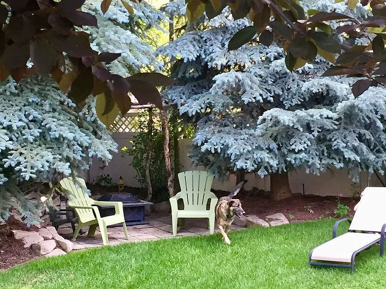 2502 Annie Oakley Dr — Photo 7
