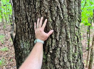 0 Earnest Avery Rd, Marion, AL 36756