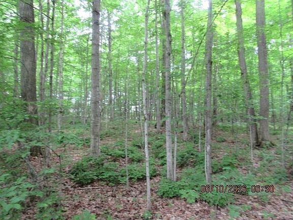 5th image of LOT 2 Anderson Rd