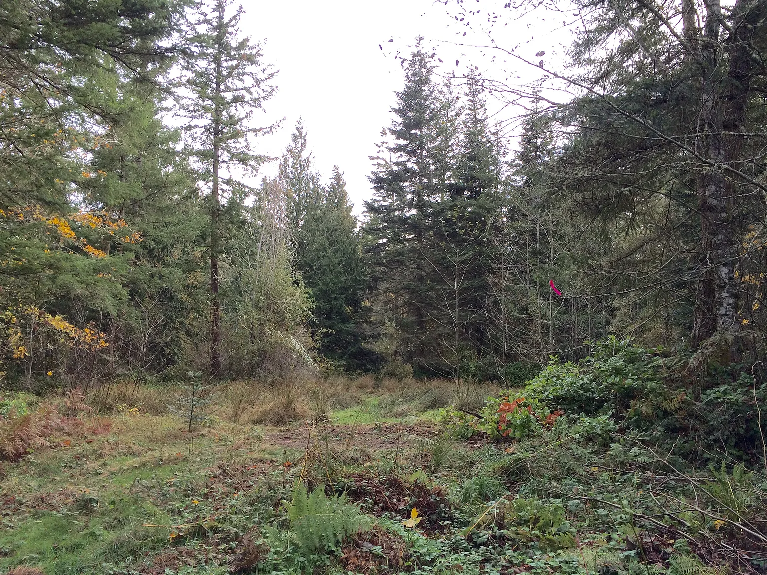 132 Raptor Way photo 1