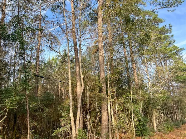 6 Tall Cotton Rd, Saratoga, TX 77585