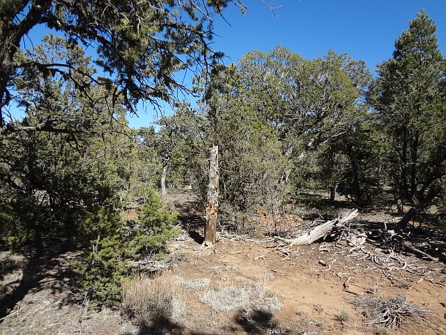 2nd image of Naranjo Creek Rd