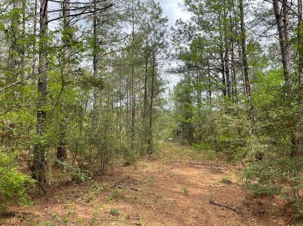 0 Charlie Rhodus Rd, Magnolia, MS 39652