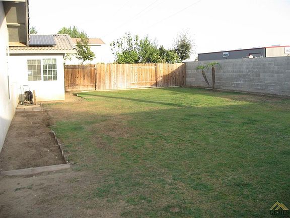 Back yard