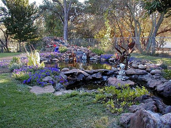 Koi Pond