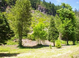 52991 McKenzie Hwy #803, Blue River, OR 97413