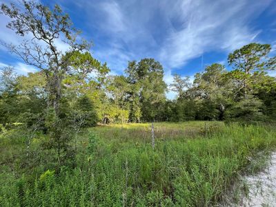 Lot 1 Nw 22nd, Bell, FL, 32619