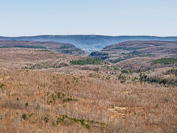 3rd image of 573AC Daus Mountain Rd