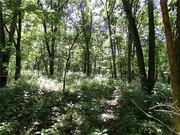 5th image of 1194 E 1700th Rd