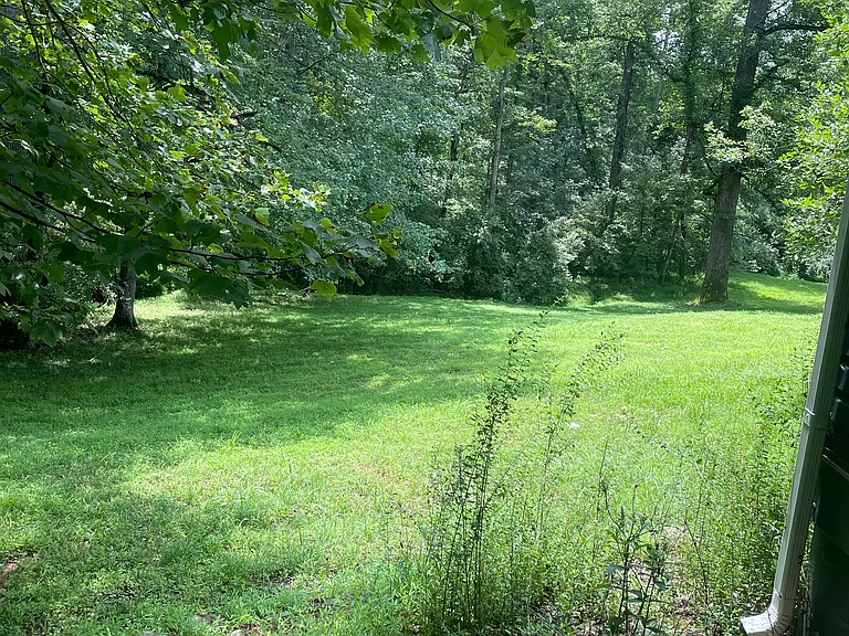 Lovely, peaceful view from the deck