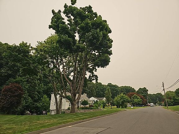 5th image of 34 Stoddard Rd