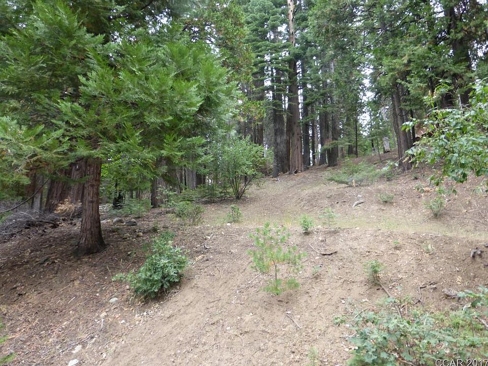 2nd image of 2875 Shoshone Dr