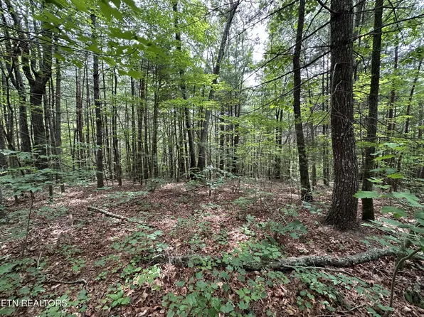 0 Towee Falls Rd, Tellico Plains, TN 37385