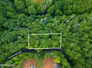 Black Gum Gap Rd, Gatlinburg, TN 37738