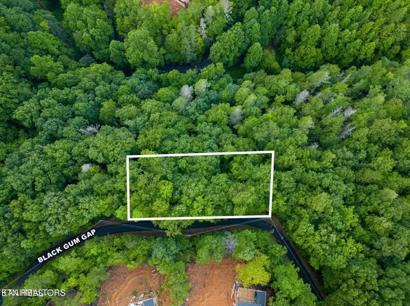 Black Gum Gap Rd, Gatlinburg, TN 37738