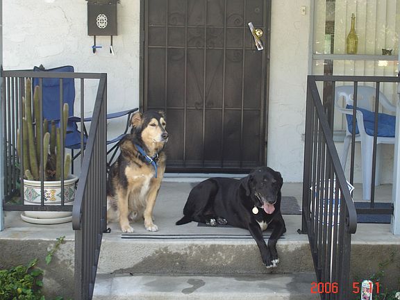 4th image of 7452 Cozycroft Ave