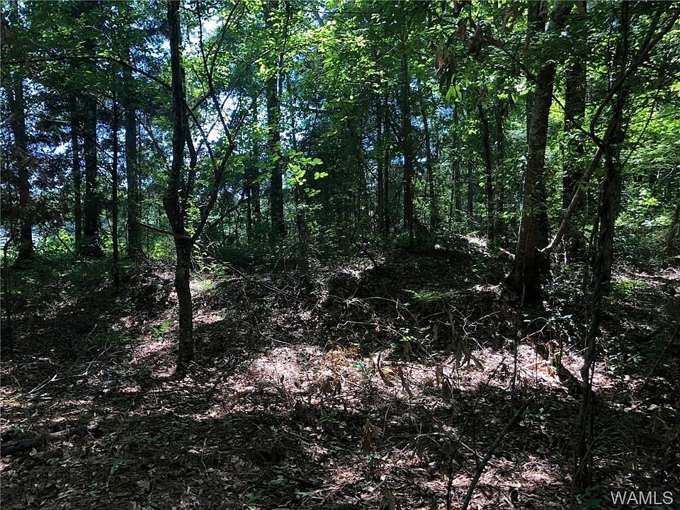1st image of 14652 Highway 82 E