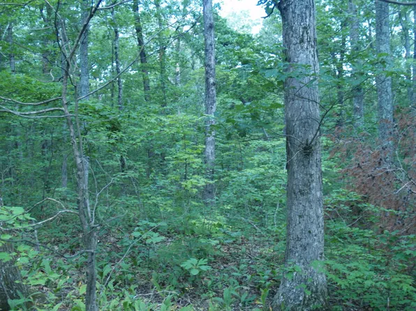 Tower Rd, Tallassee, TN 37878