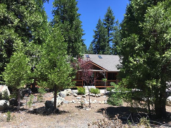 nestled in the trees