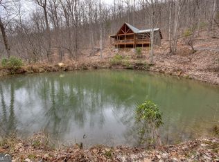 442 N Burgess Gap Rd, Morganton, GA 30560